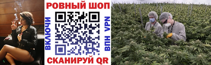 Как найти наркотики Чебоксары А ПВП  kraken tor  Cocaine  Галлюциногенные грибы  Марихуана  АМФЕТАМИН 