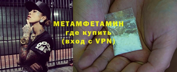 прущие грибы Михайлов