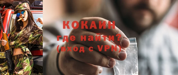 прущие грибы Михайлов