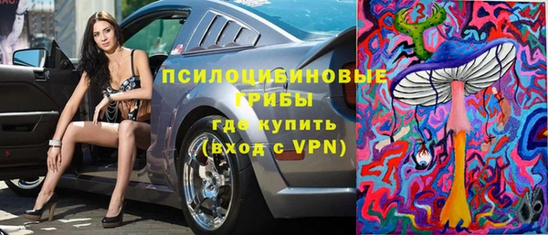 прущие грибы Михайлов