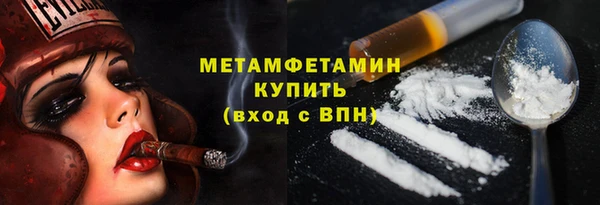 прущие грибы Михайлов