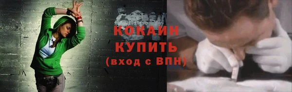 прущие грибы Михайлов