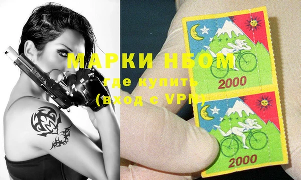 прущие грибы Михайлов