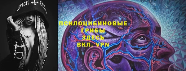 сатива Наволоки