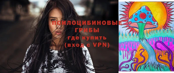 прущие грибы Михайлов
