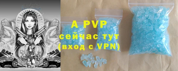прущие грибы Михайлов