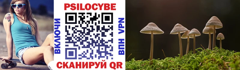 Галлюциногенные грибы GOLDEN TEACHER  ОМГ ОМГ вход  Чебоксары  наркошоп 